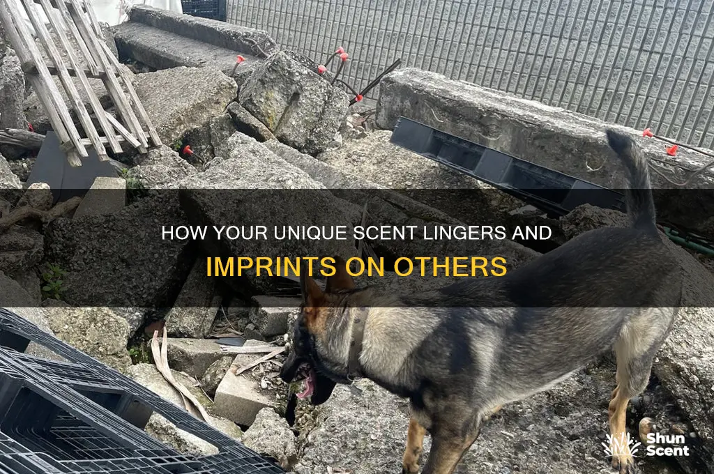 how does someone have your scent