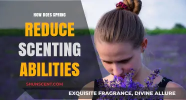 Spring's Impact: How Seasonal Changes Diminish Scenting Abilities Explained