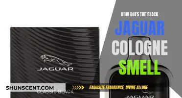 The Black Jaguar Cologne: A Sensual Fragrance Experience