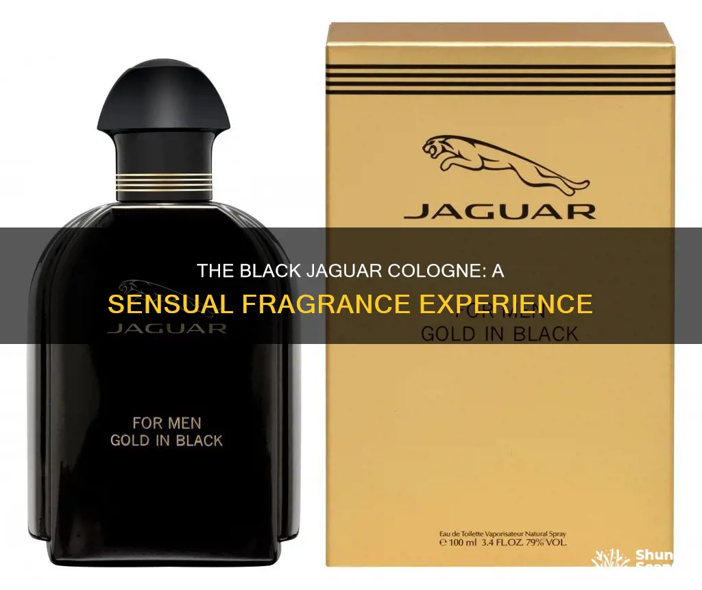 how does the black jaguar cologne smell