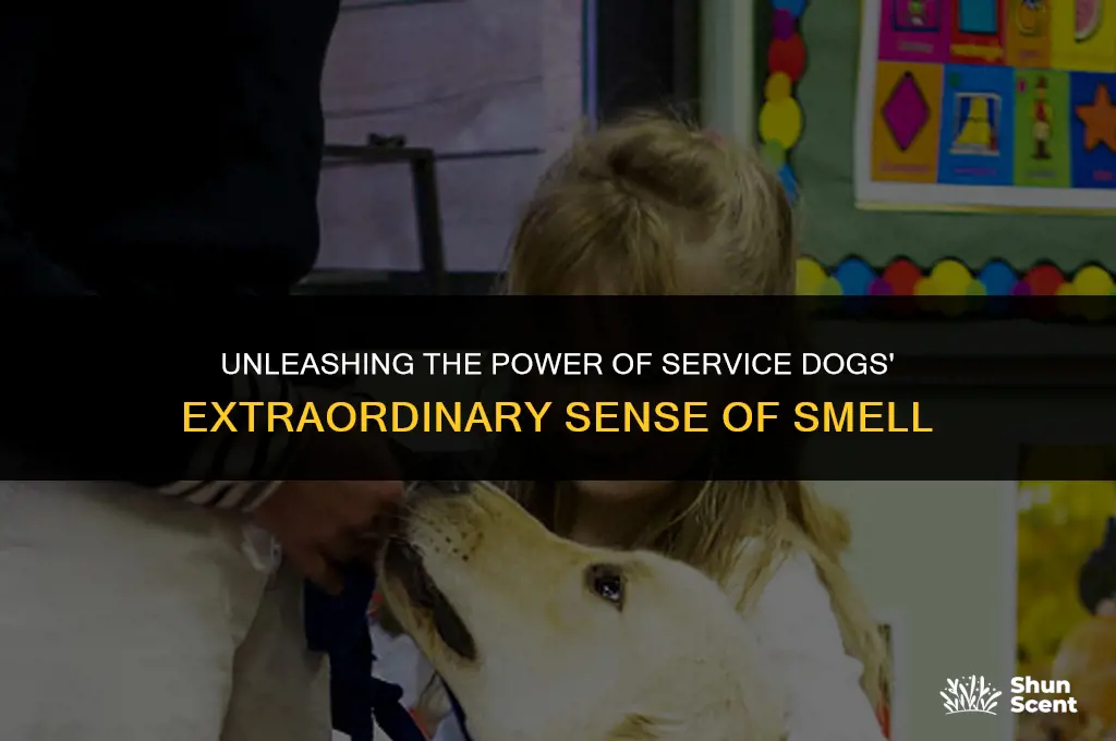 how does the physiology of a service dog smelling work