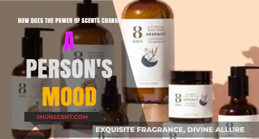 Aromatherapy's Impact: How Scents Transform Moods and Emotions Instantly