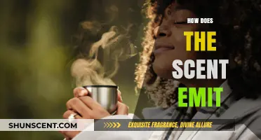 Understanding the Science Behind How Scents Are Released and Detected