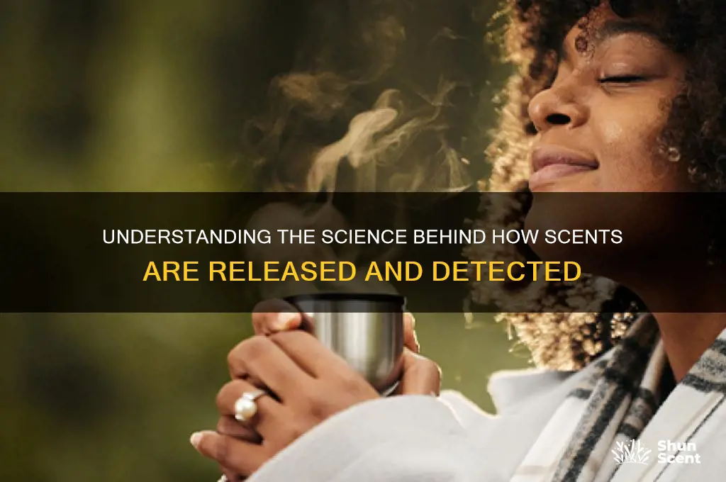 how does the scent emit