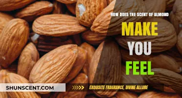 The Soothing Scent of Almond: Unlocking Emotions and Memories