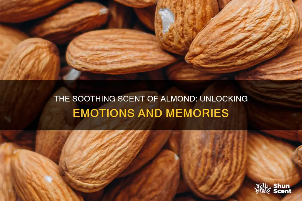 how does the scent of almond make you feel