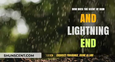 The Science Behind Petrichor: How Rain and Lightning's Scent Fades