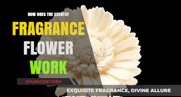 Unveiling the Magic: How Scentsy's Fragrant Flowers Work