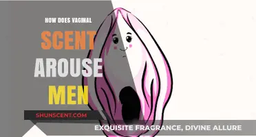 The Science Behind Vaginal Scent and Its Arousal Effect on Men