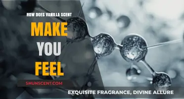Vanilla Scent: Unlocking Emotions, Memories, and Its Soothing Power