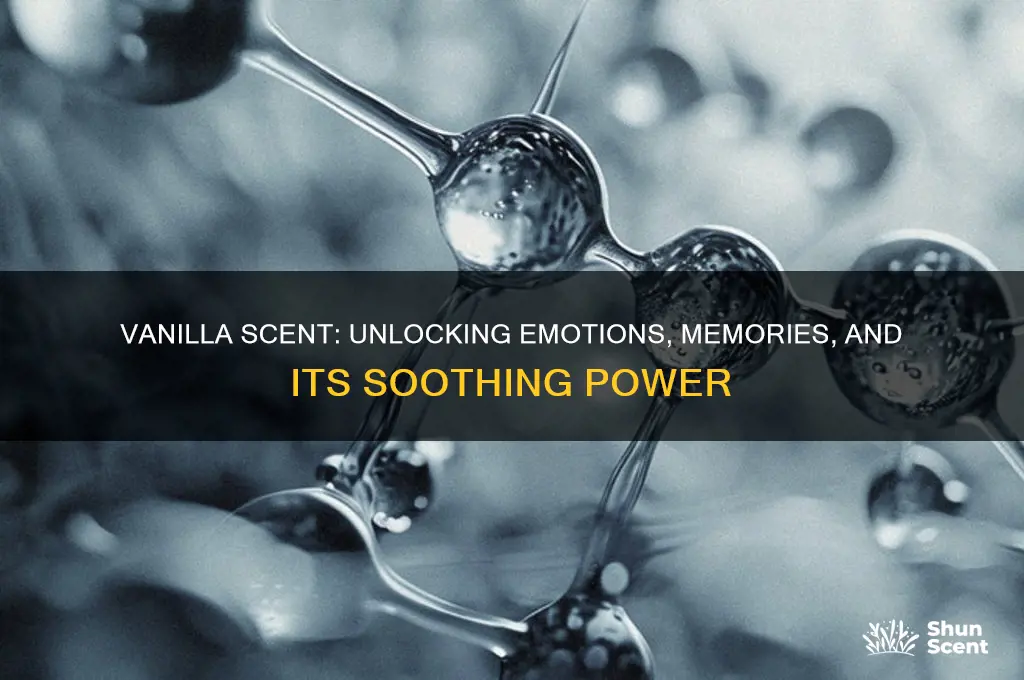 how does vanilla scent make you feel