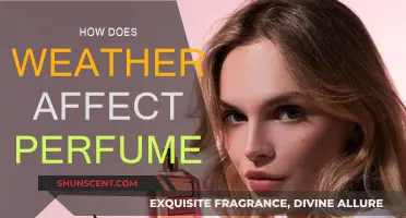 Weather's Impact on Perfume: A Sensory Experience
