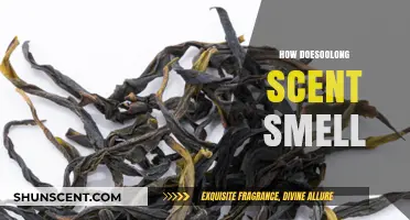 Unveiling the Unique Aroma: How Does Oolong Tea Scent Smell?