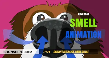Unleashing the Secrets: How Dogs Smell Animation Explained