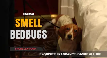 Canine Noses Know: Uncovering Bedbugs with Man's Best Friend