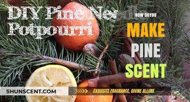 Crafting Pine Scent: Simple DIY Methods for Fresh Forest Aromas