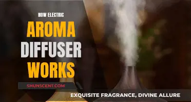 The Magic Behind Electric Aroma Diffusers