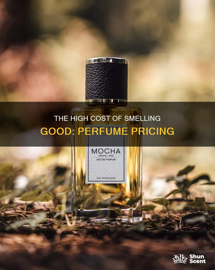 how expensive are average perfumes