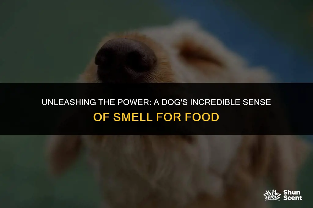 how far away can a dog smell food