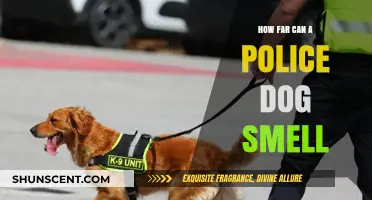 Unleashing the Power: The Incredible Smell Range of Police Dogs
