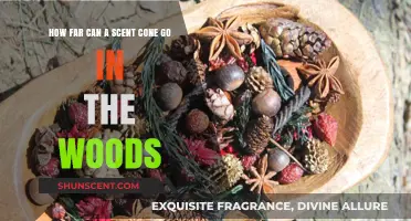 Exploring Scent Cone Range in Woodland Environments: Distance and Factors