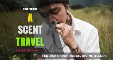 Exploring the Surprising Distance Scents Can Travel in Nature