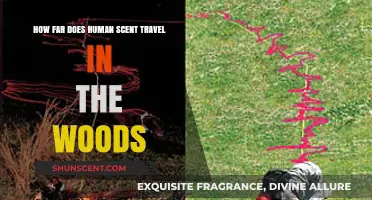 How Far Does Human Scent Travel in the Woods?