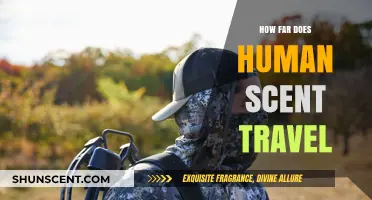 How Far Does Human Scent Travel? Unveiling the Science Behind It