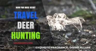 Maximizing Deer Hunting Success: Understanding Scent Travel Distance