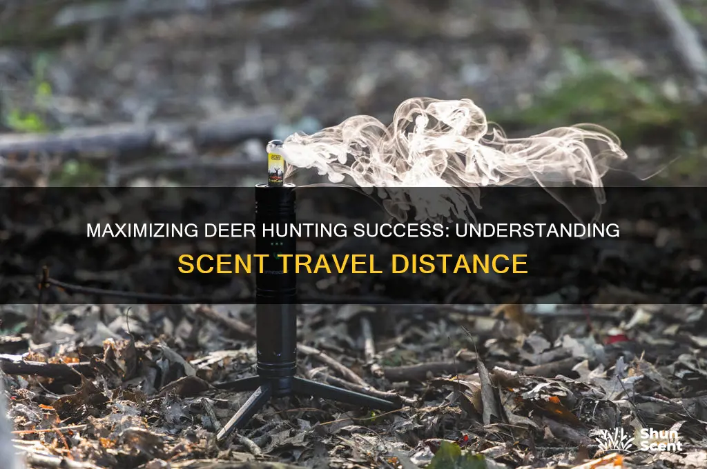 how far does scent travel deer hunting