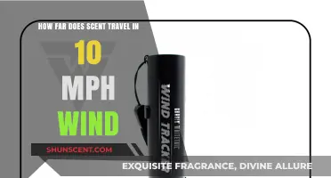 How Far Does Scent Travel in a 10 MPH Wind?