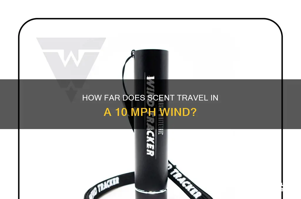 how far does scent travel in 10 mph wind