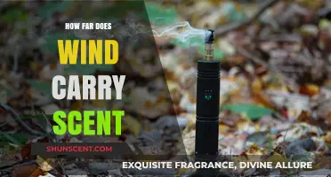 How Far Wind Carries Scents: Unveiling Nature's Aromatic Journey