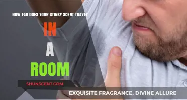 How Far Does Your Body Odor Spread in a Room?