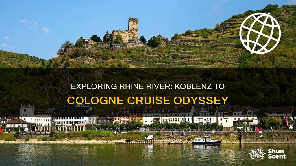 how far from koblenz to cologne along rhine river