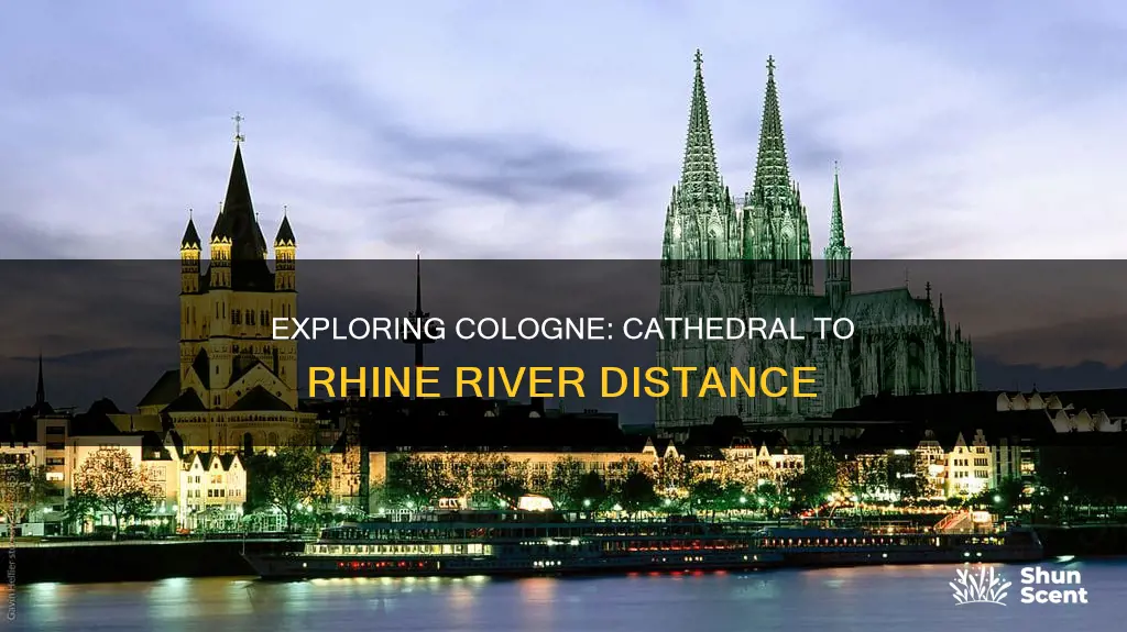 how far is cologne cathedral from the rhinr river