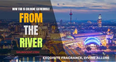 Exploring Cologne: Cathedral Distance from the River