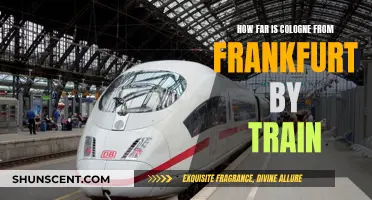 Travel Guide: Cologne to Frankfurt by Train