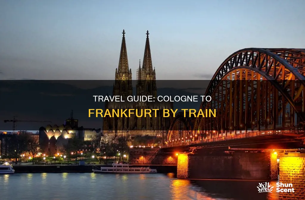 how far is cologne from frankfurt by train