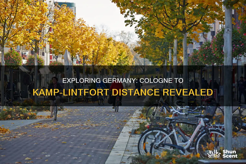 how far is it from cologne to kamp-lintfort