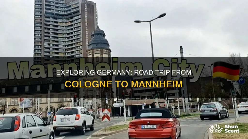 how far is the drive from cologne to mannheim