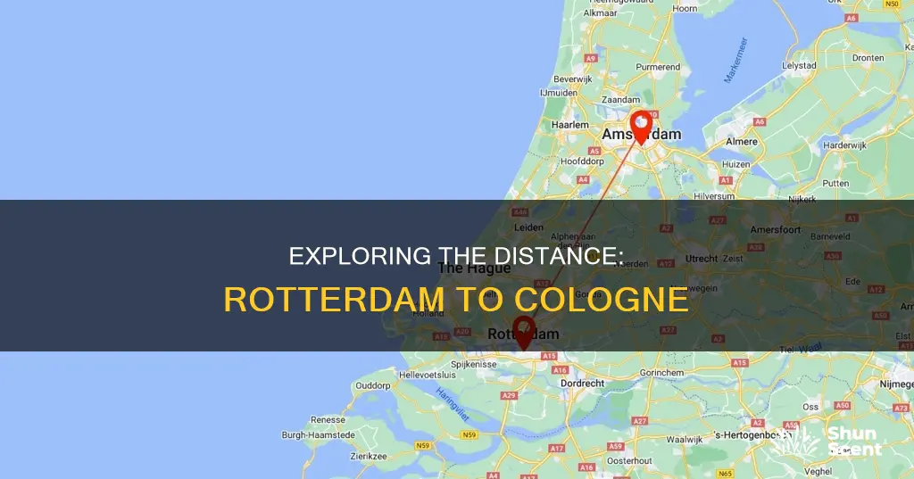 how far rotterdam to cologne