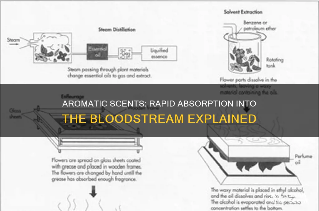 how fast does an aromatic scent get into the bloodstream