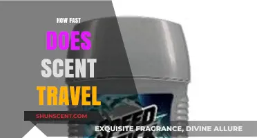 How Fast Does Scent Travel? Unveiling the Speed of Smell