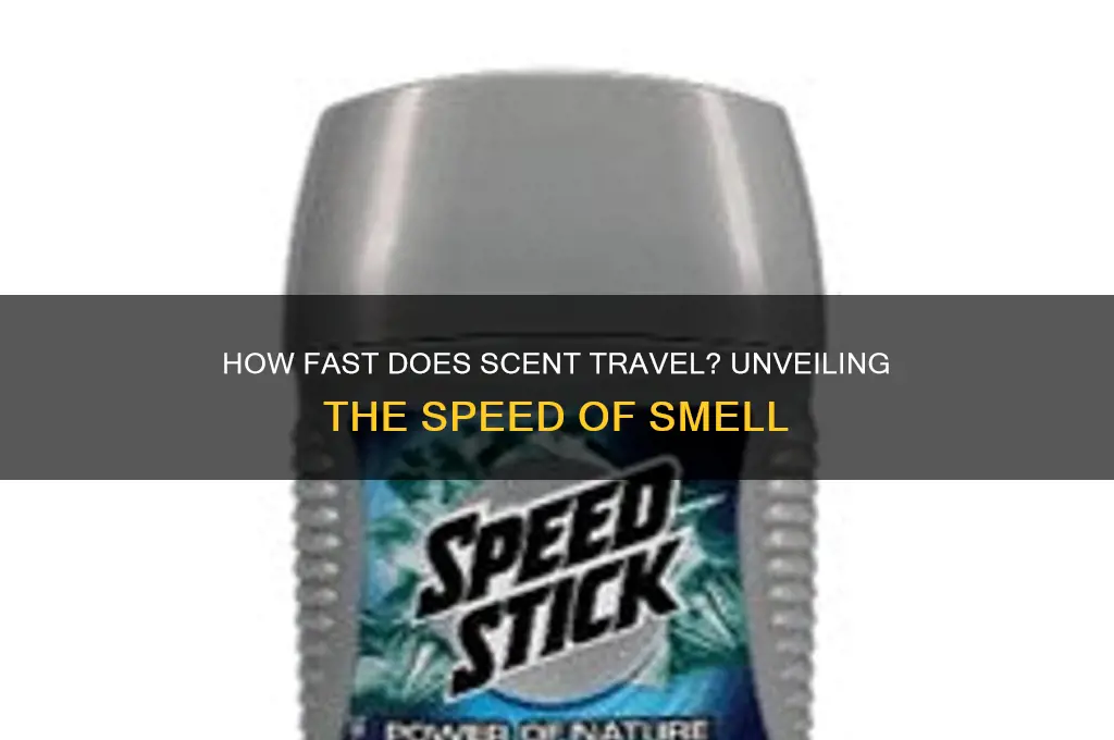 how fast does scent travel