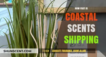 Coastal Scents Shipping Speed: How Fast Can You Expect Your Order?