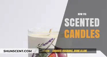 Fig Scented Candles: Aromatic Bliss for Relaxation and Home Ambiance