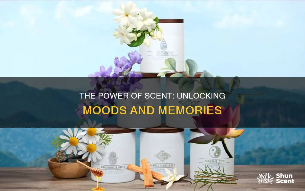 how fragrance affect your mood