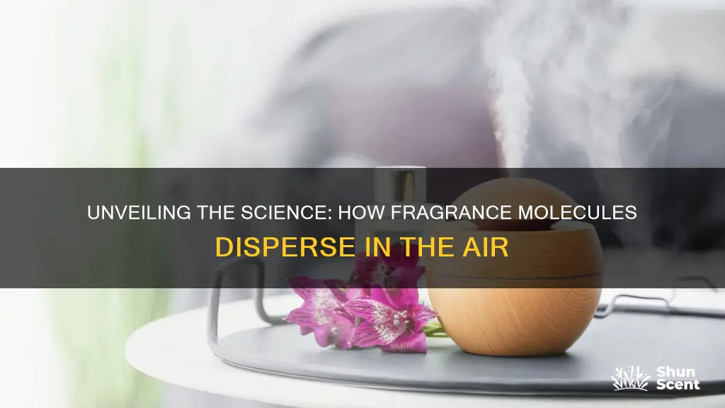 how fragrance chemically diffuses