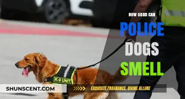 Unleashing the Power: The Incredible Sense of Smell in Police Dogs